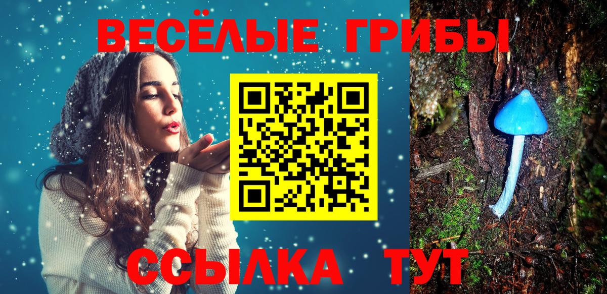 Санкт-Петербург  Галлюциногенные грибы GOLDEN TEACHER  Псилоцибиновые грибы прущие грибы  Вход с VPN 